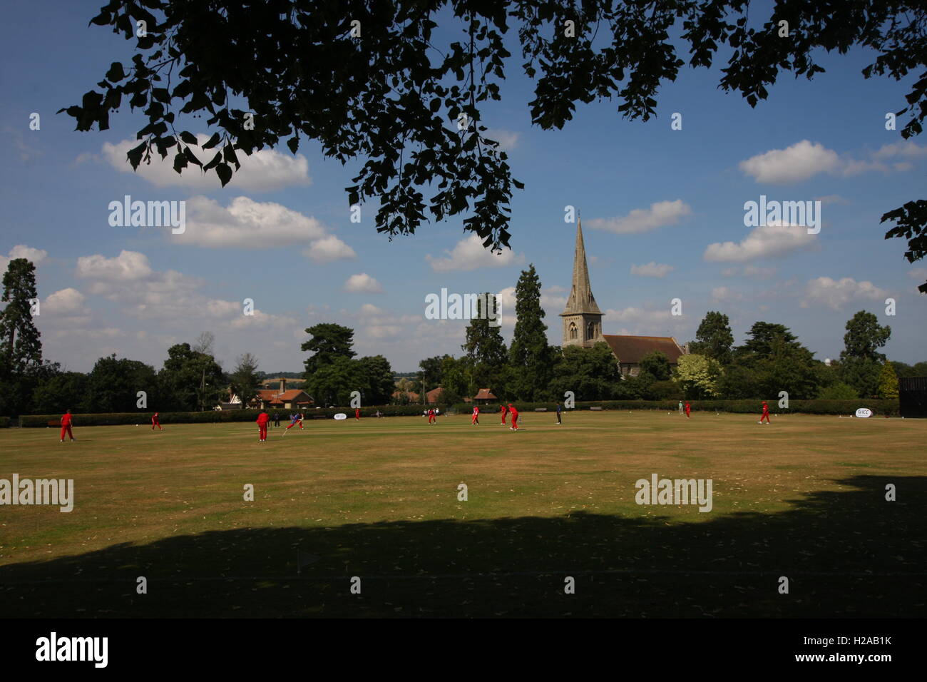 1 août 2014. Mistley Cricket Club dans l'Essex, Photo de Tony Henshaw Banque D'Images
