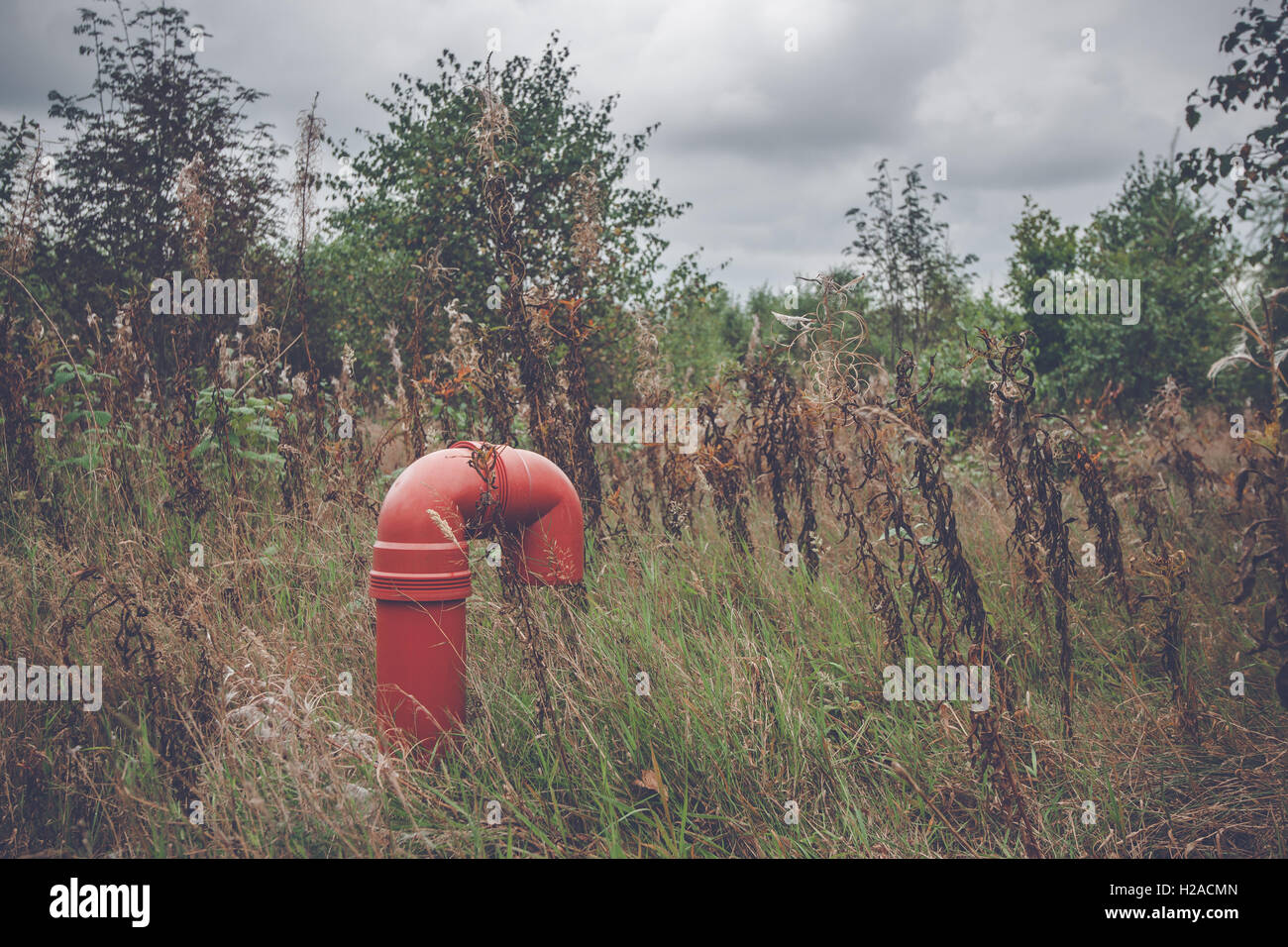 Pipeline rouge sur un pré avec plantes et arbres Banque D'Images