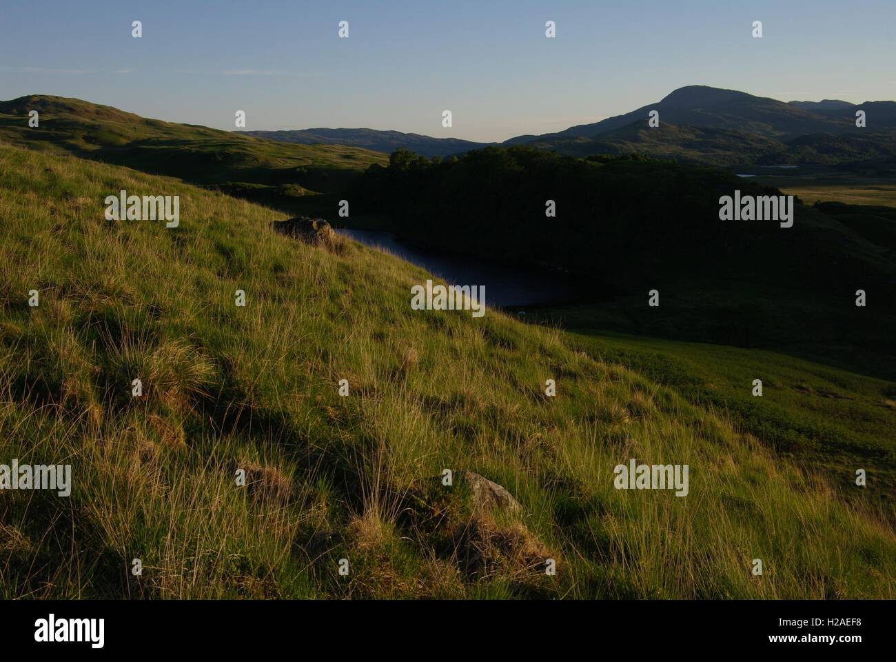 Interdiction du BCEI, près de Lochdon, Isle of Mull, Scotland Banque D'Images