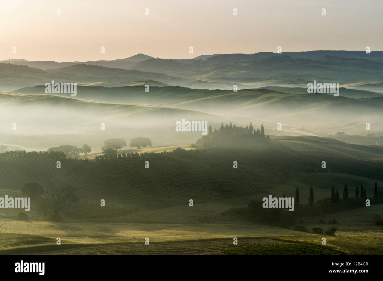 Paysage typique toscan vert dans le Val d'Orcia, ferme sur la colline parlementaire, les champs, le cyprès (Cupressus sp.) et le brouillard du matin au lever du soleil Banque D'Images