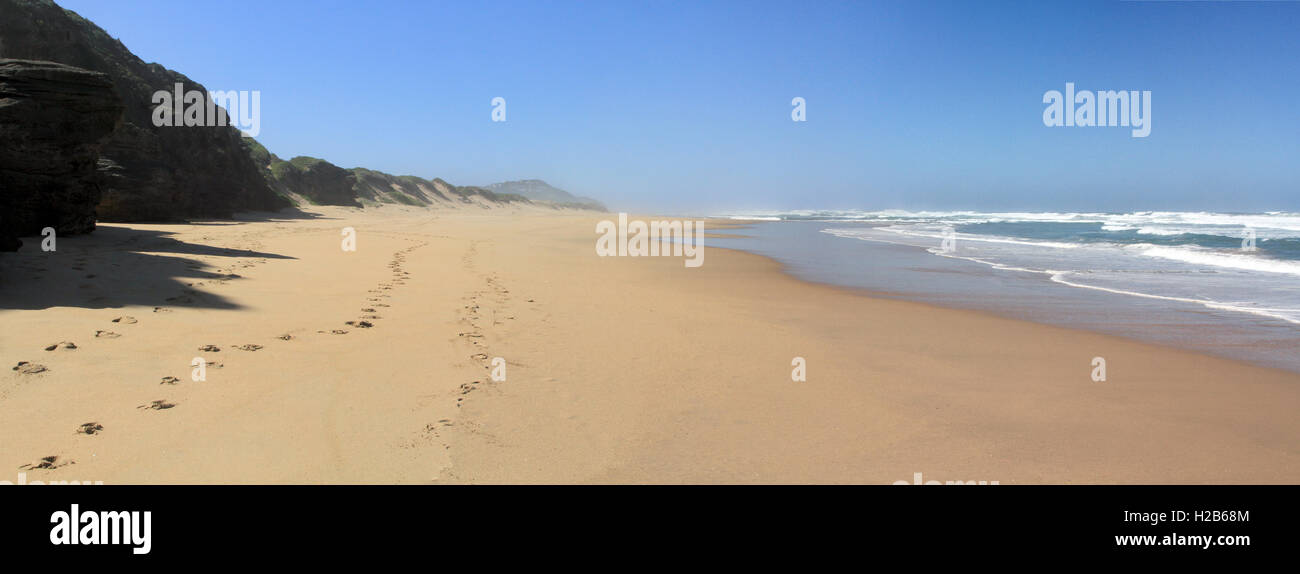 Vue panoramique sur la plage de Sedgefield avec empreintes de pas dans le sable Banque D'Images