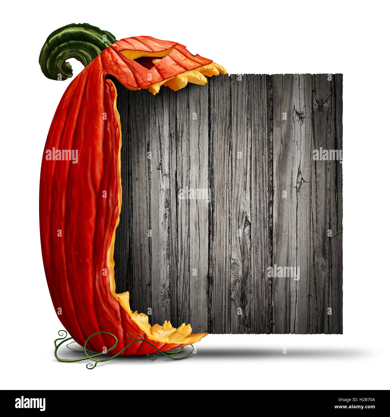 Jack O Lantern Halloween signe vierge en vue de côté caractère citrouille mordre dans une ancienne bannière du bois comme agent de publicité et marketing saisonnières avec un message effrayant expression sur un fond blanc avec des éléments 3D illustration. Banque D'Images