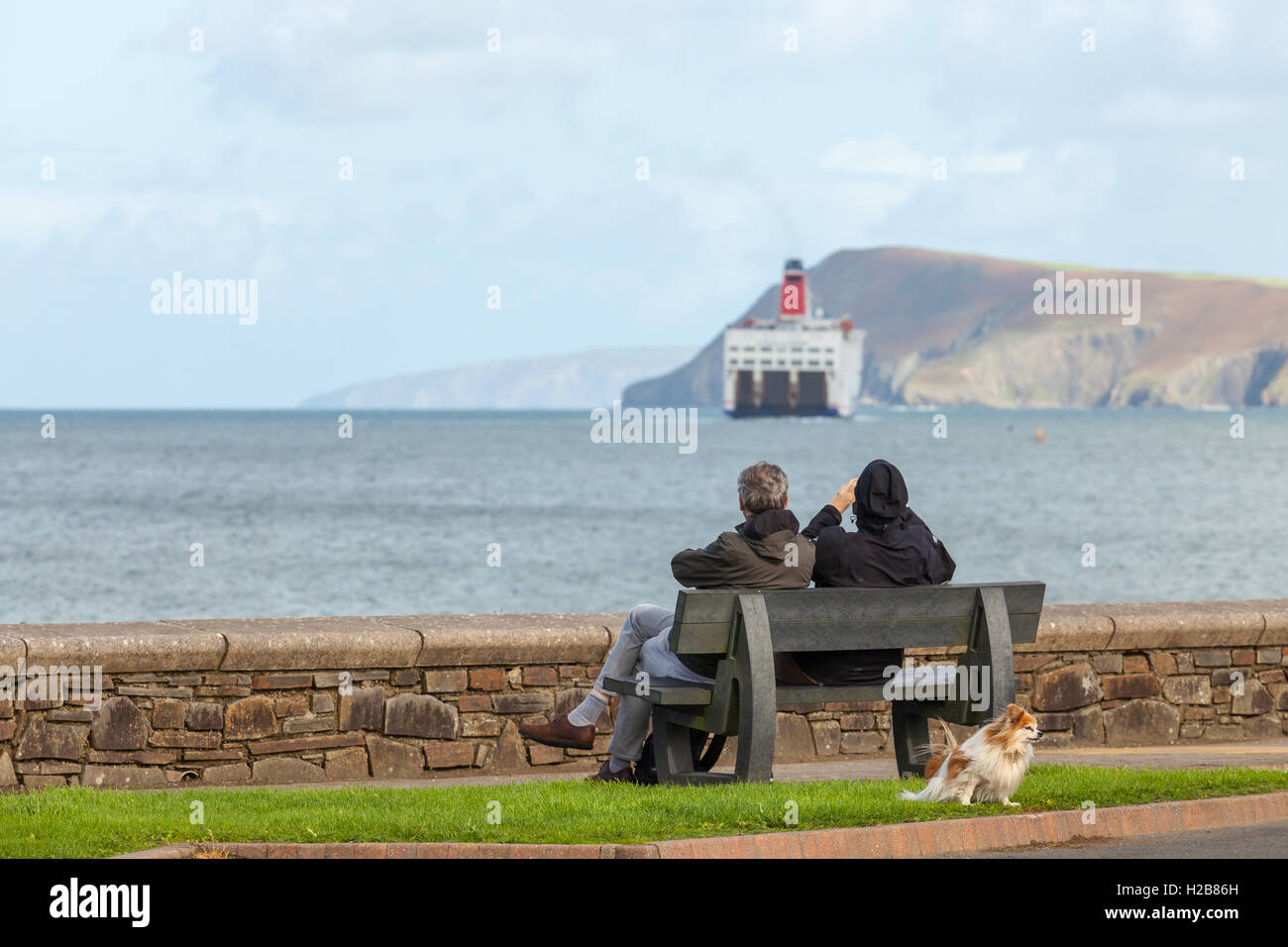 Couple sur un banc à regarder les ferries irlandais sortir de Fishguard Banque D'Images