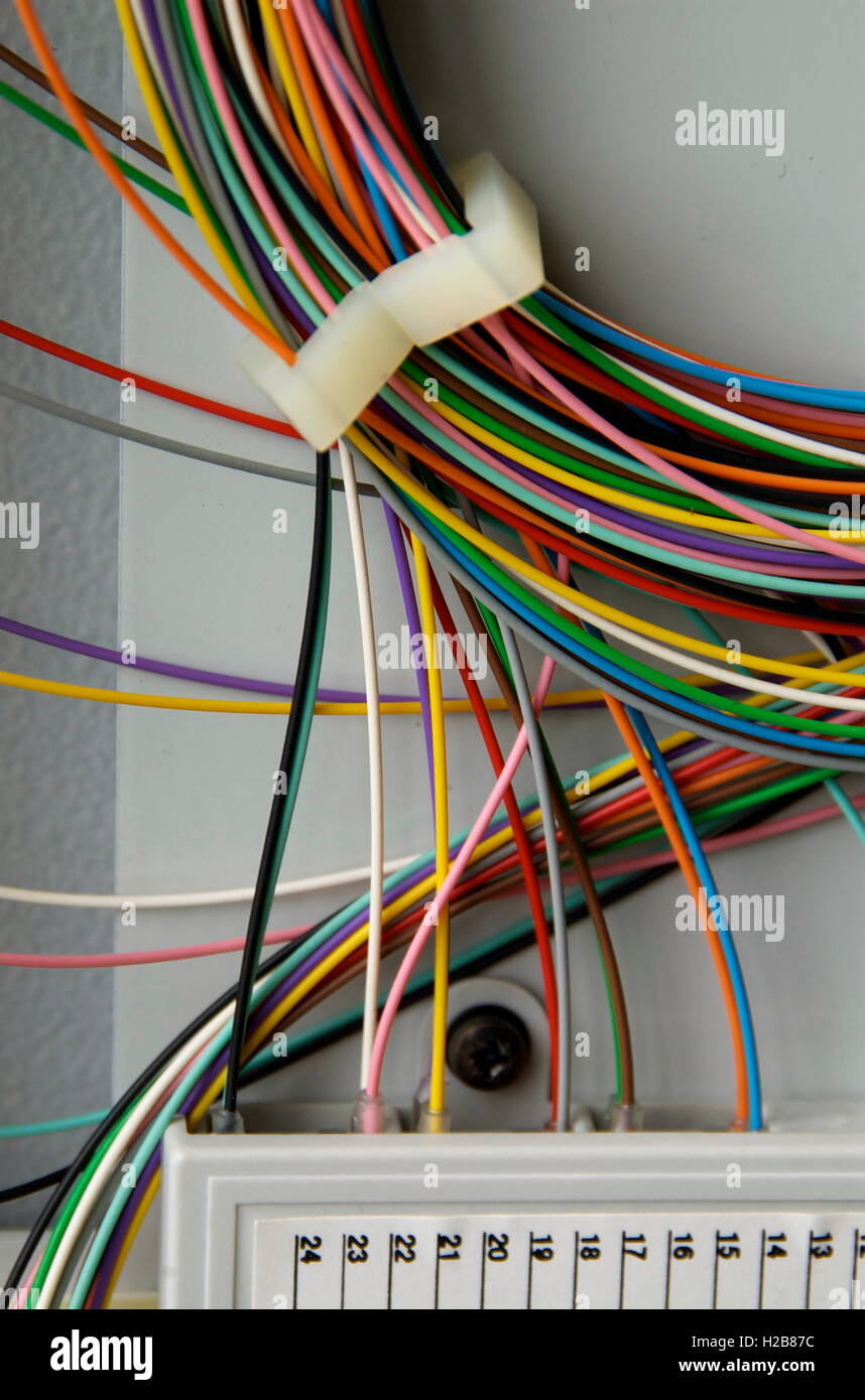 Câbles à fibres optiques colorés Banque D'Images