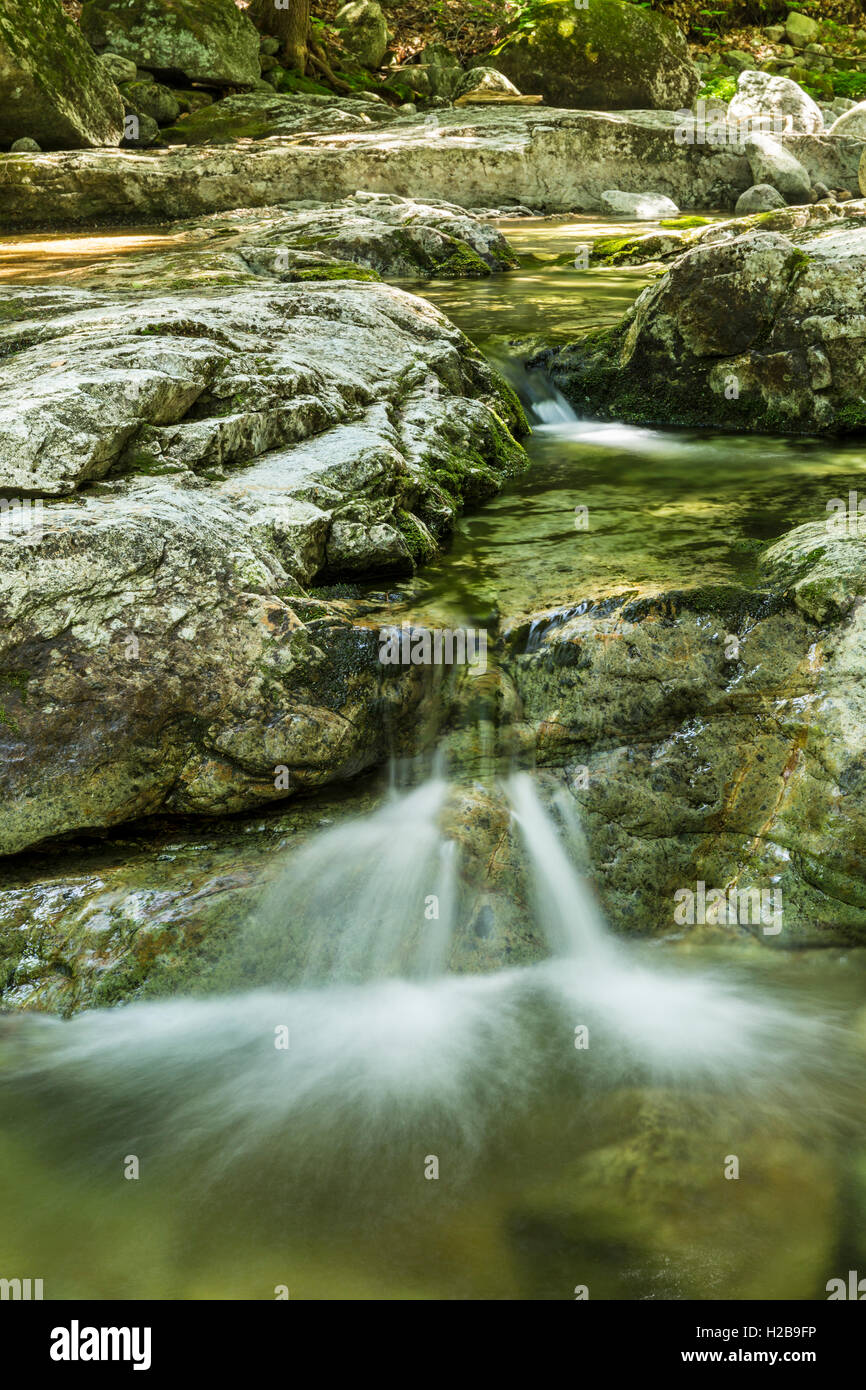 Vert tranquille piscines sur Gill Brook sur le sentier du ruisseau Gill à l'Adirondack Mountain Club près de Saint Huberts, New York Banque D'Images