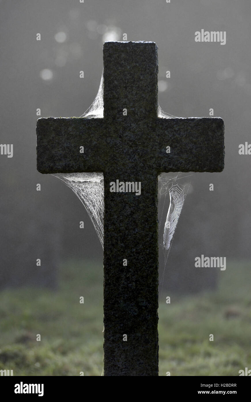 En forme de croix Misty tombe avec d'araignée Banque D'Images