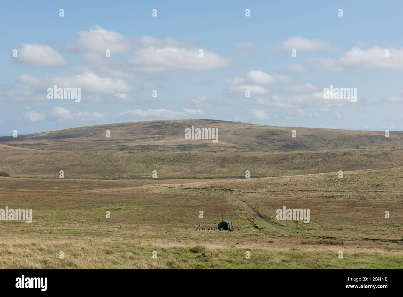 Les soldats de l'armée britannique de faire un exercice d'entraînement sur Okehampton intervalle dans le Dartmoor National Park, Devon, Angleterre, Royaume-Uni Banque D'Images