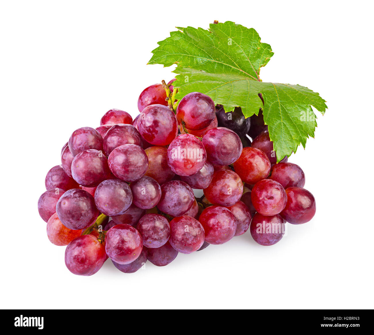 Tas de raisins rouges mûres avec des feuilles isolées sur fond blanc Banque D'Images