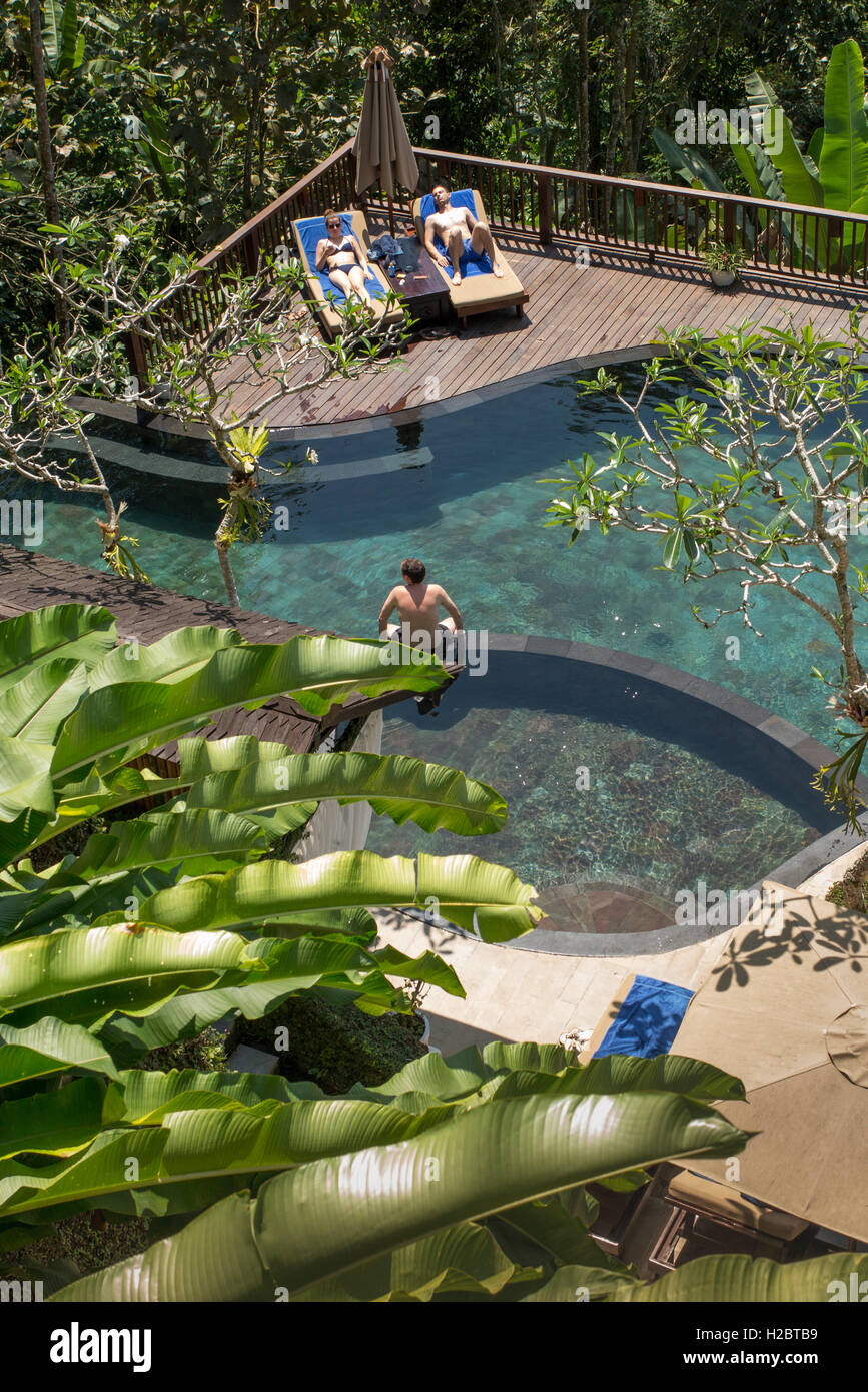 L'INDONÉSIE, Bali, Payangan, Susut, Nandini Jungle Resort and Spa Hotel piscine, elevated view Banque D'Images