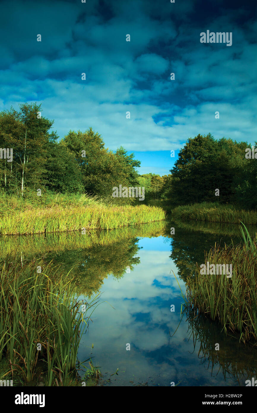 Usine de Darnley, barrages de Darnley Country Park, Glasgow, Darnley Banque D'Images