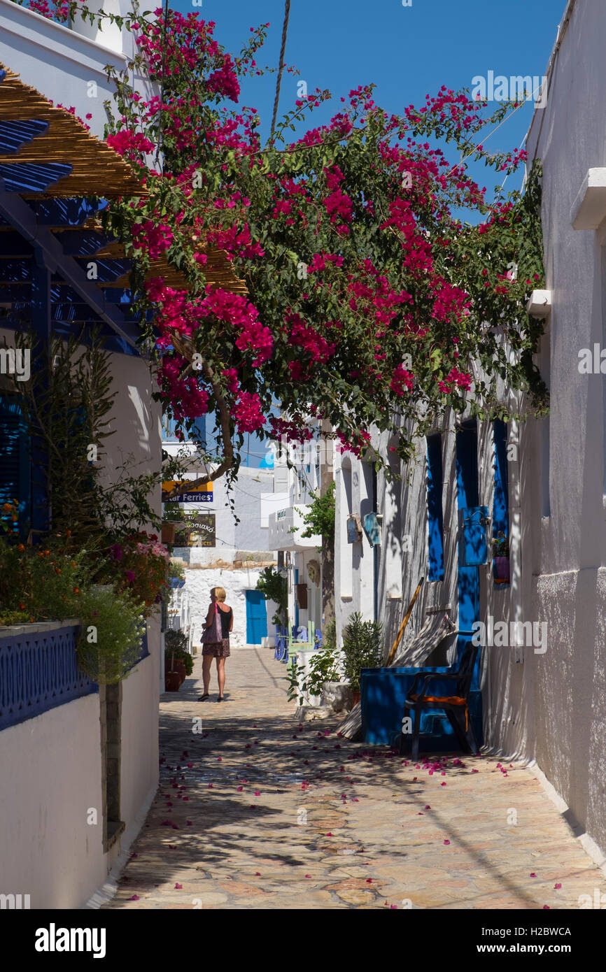 Village-rue, île de Koufonisi, Cyclades, Mer Égée, Grèce, Europe Banque D'Images