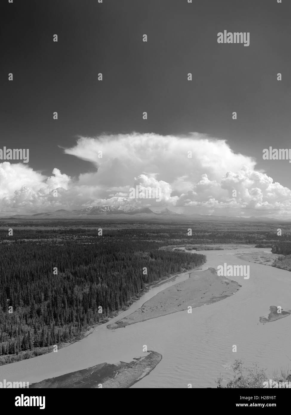 Vue sur la rivière Copper (premier plan) et les monts Wrangell, juste au sud de Glenallen, l'Alaska, le long de la Richardson Highway. Banque D'Images