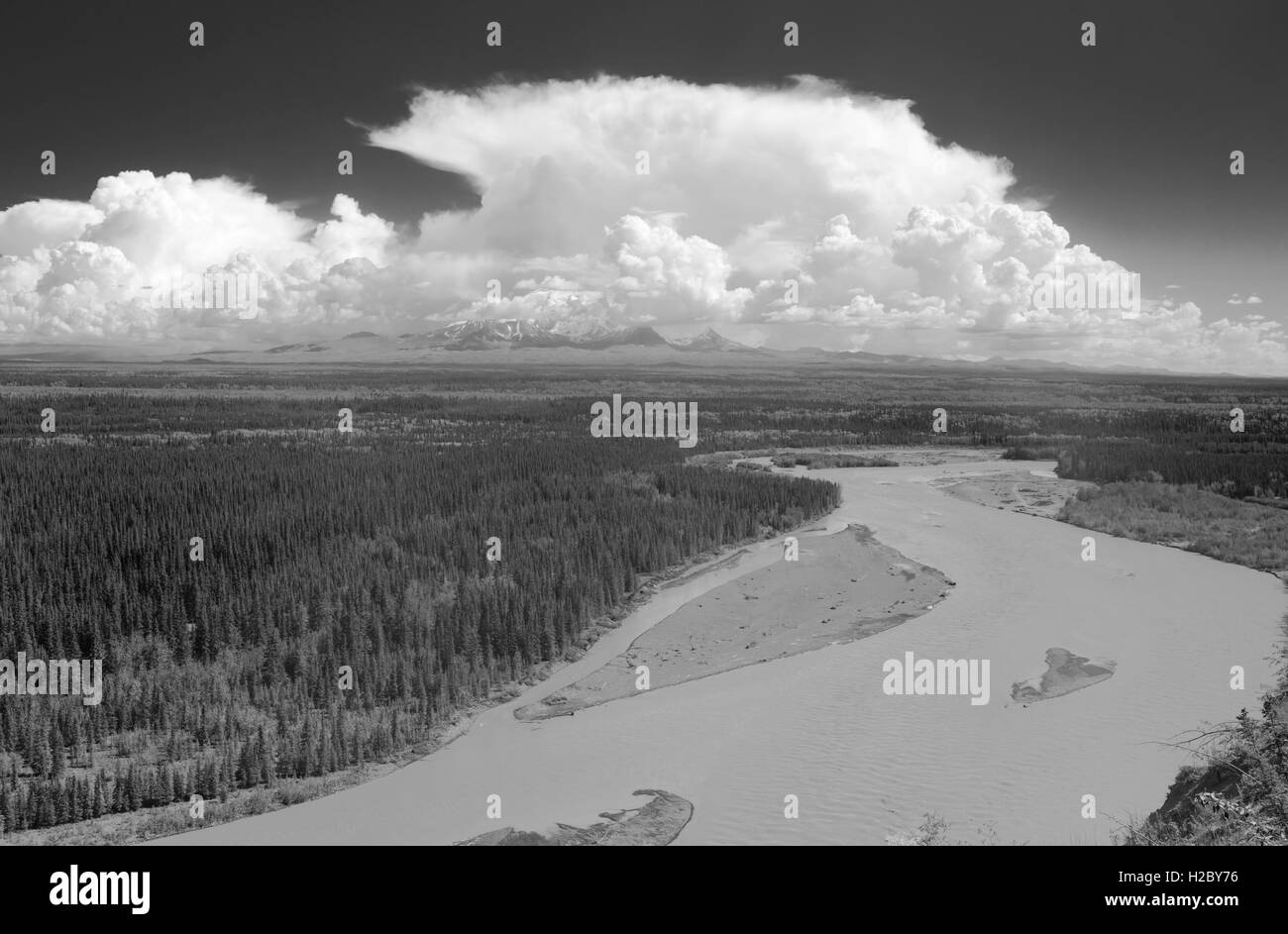 Vue sur la rivière Copper (premier plan) et les monts Wrangell, juste au sud de Glenallen, l'Alaska, le long de la Richardson Highway. Banque D'Images