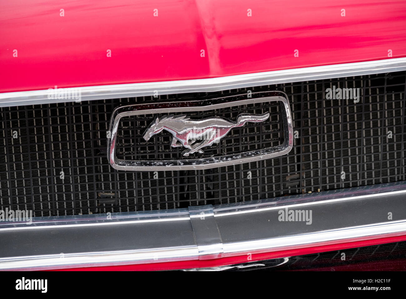 Ford Mustang voiture logo sur le capot rétro. Banque D'Images