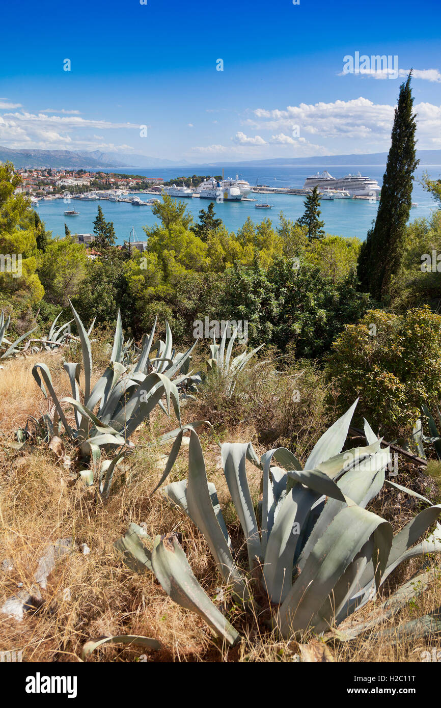 Vue depuis la colline de Marjan en regardant vers le terminal de croisière de Split, Split, Croatie. Aloe plantes grasses en premier plan Banque D'Images