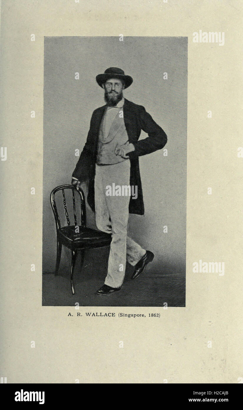 Alfred Russel Wallace Banque D'Images