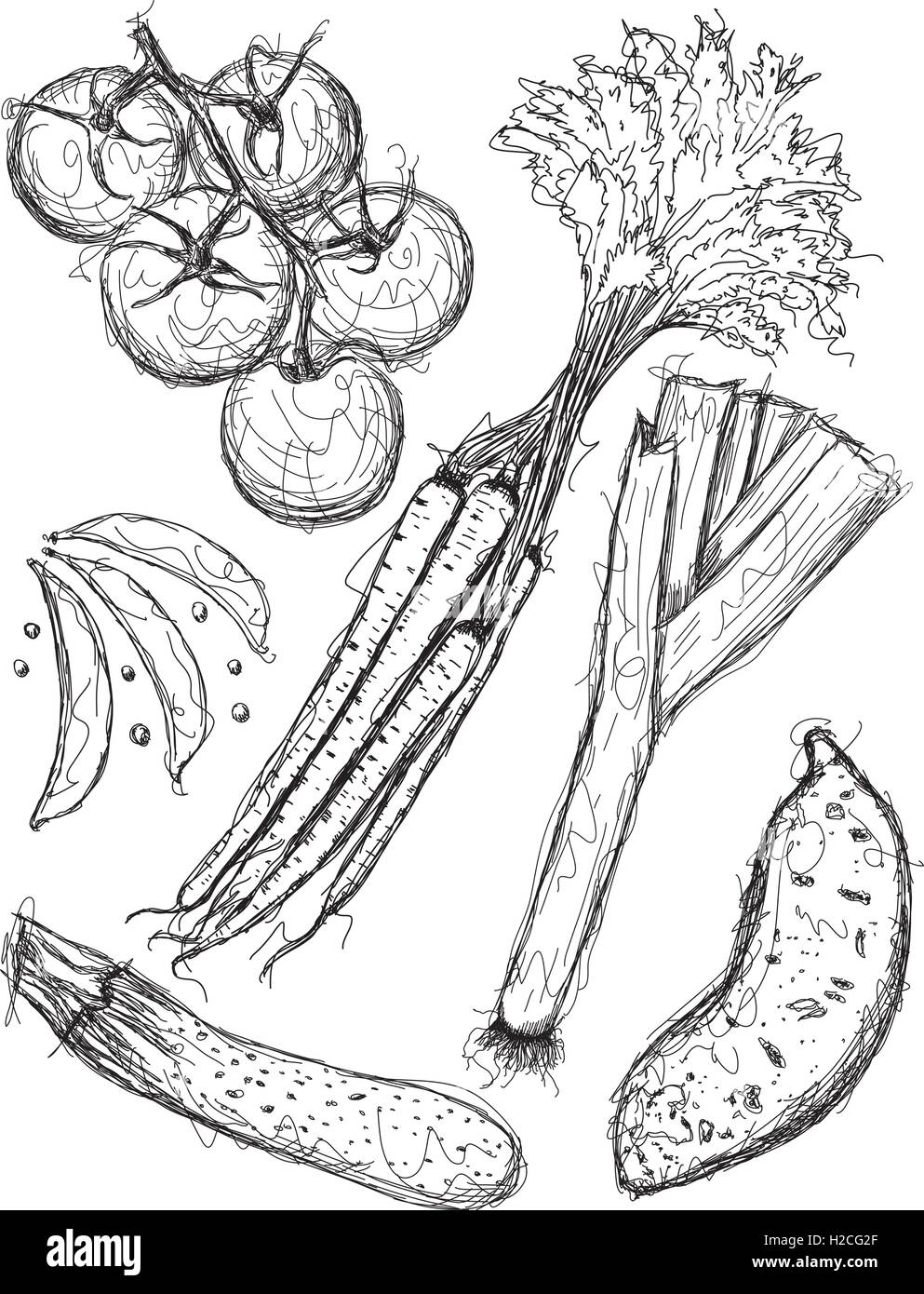 Croquis de légumes Illustration de Vecteur