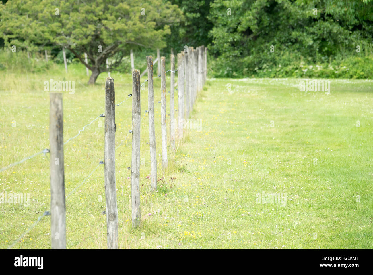 Clôture et pré vert à caractère rural, la Suède Banque D'Images