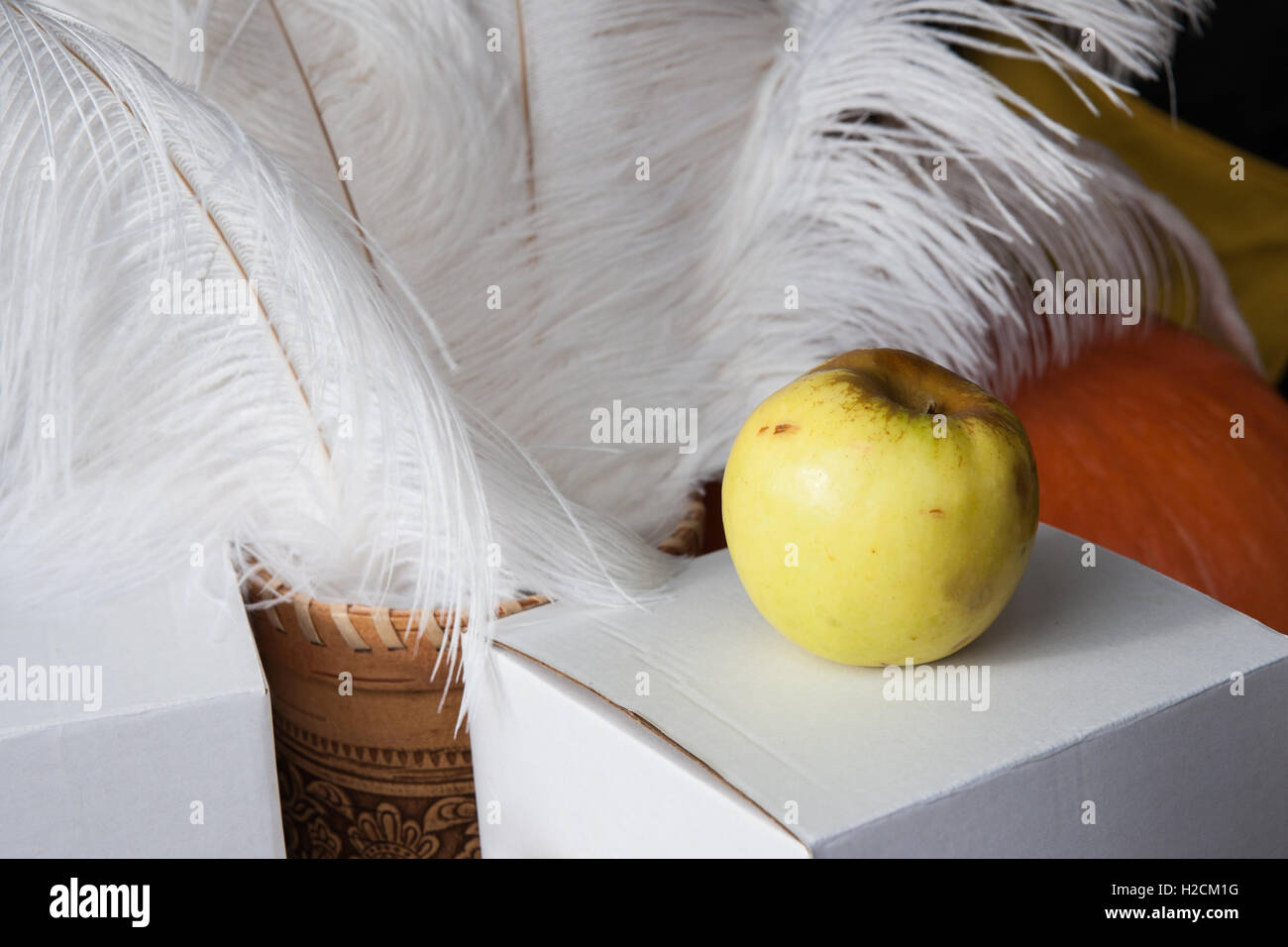 Yellow Apple sur un carton blanc et plumes d'autruche ou panaches dans un bol d'écorce de bouleau. Banque D'Images