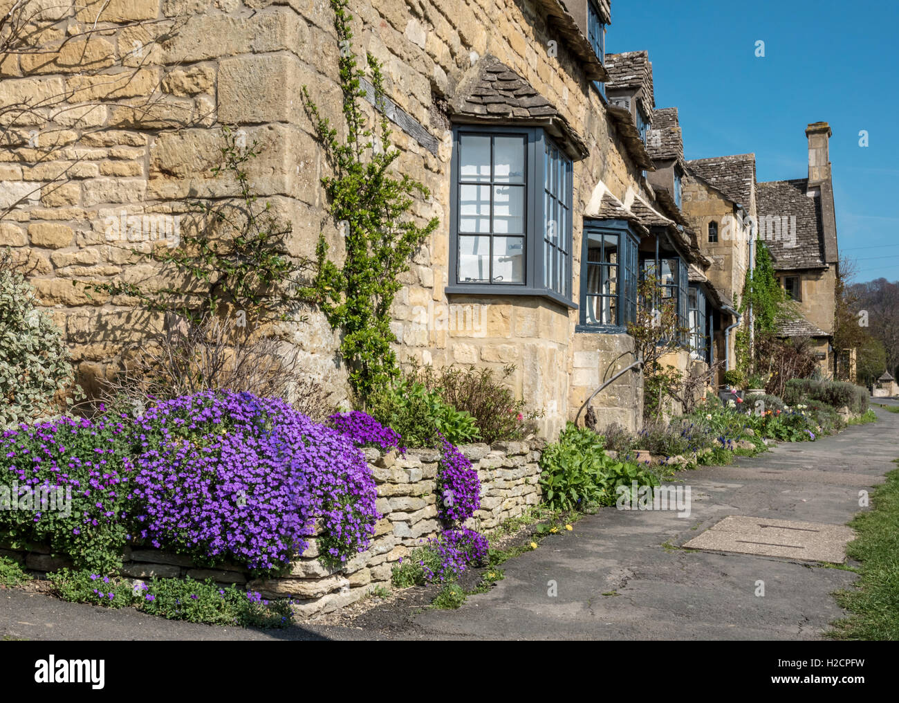 Les fleurs du printemps à l'extérieur de la rangée de vieilles maisons en pierre de Cotswold Banque D'Images