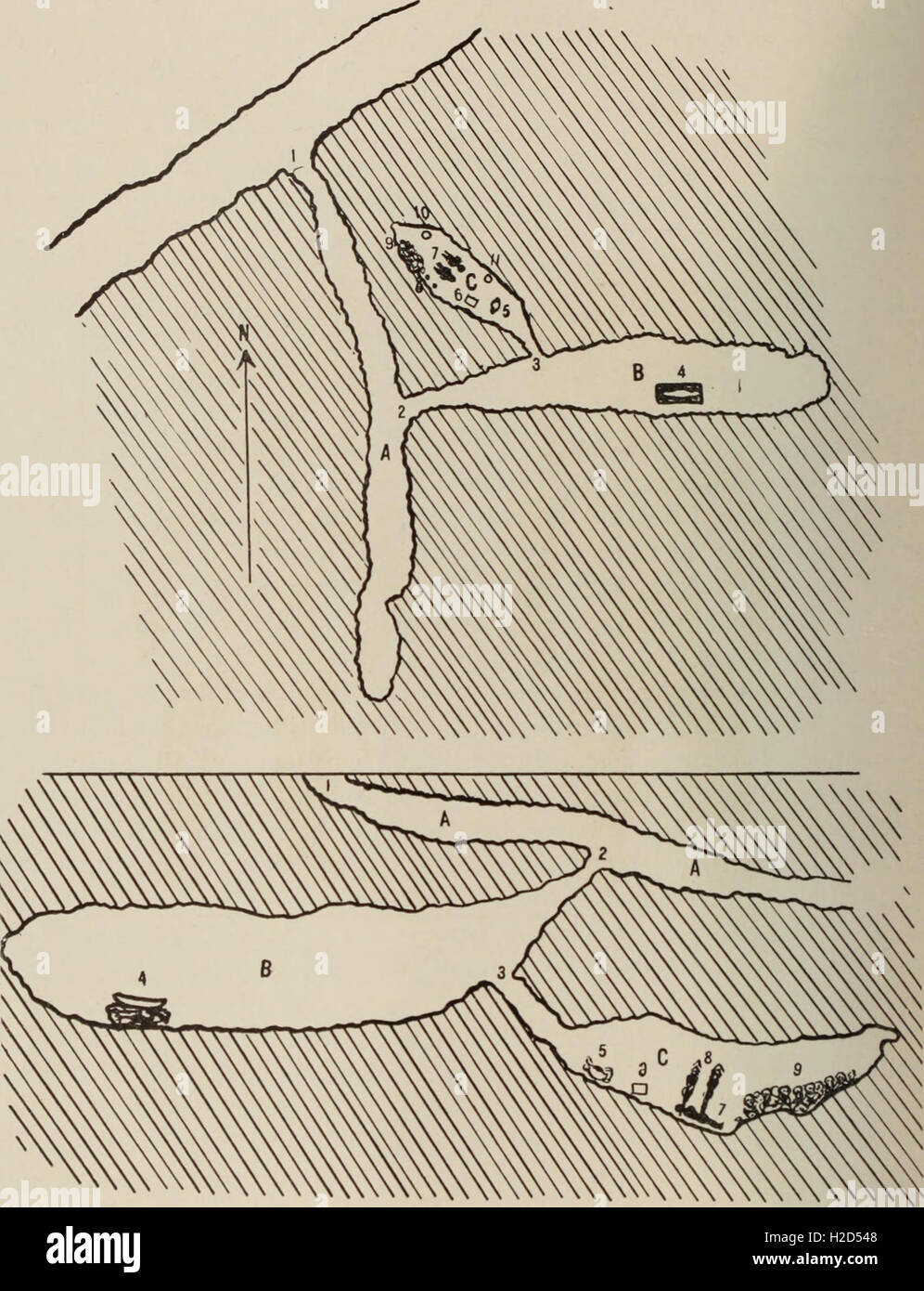 Mémoires de l'Bernice Pauahi Bishop Museum (1906) (1 Banque D'Images