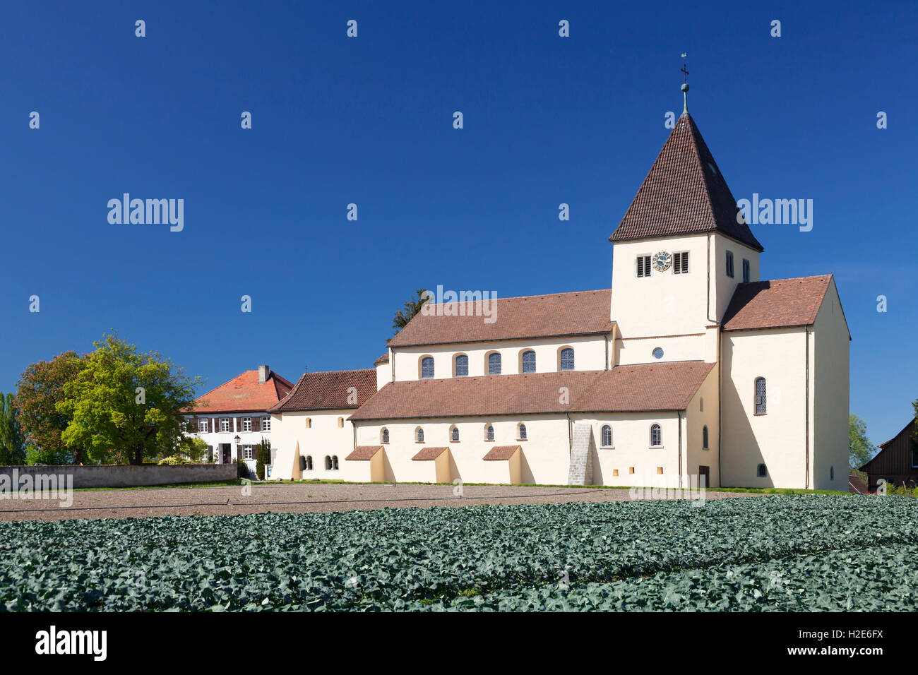 St George's Church, dans les champs de légumes, avant de l'île de Reichenau, Obernzell, Lac de Constance, Bade-Wurtemberg, Allemagne Banque D'Images