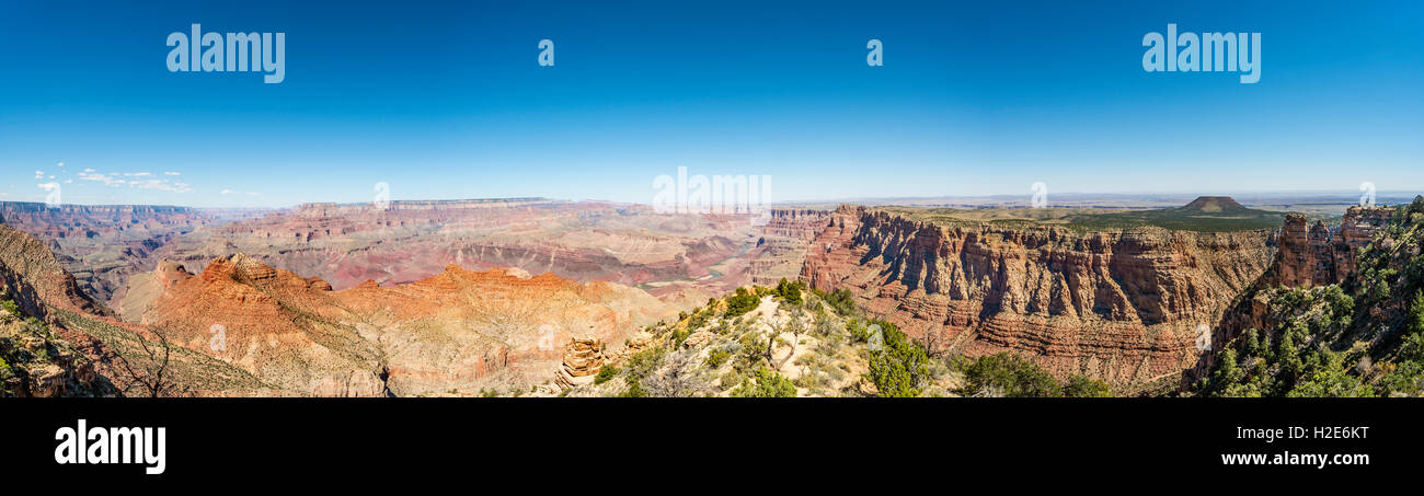 Vue de paysage, Canyon South Rim, le Parc National du Grand Canyon, Arizona, USA Banque D'Images