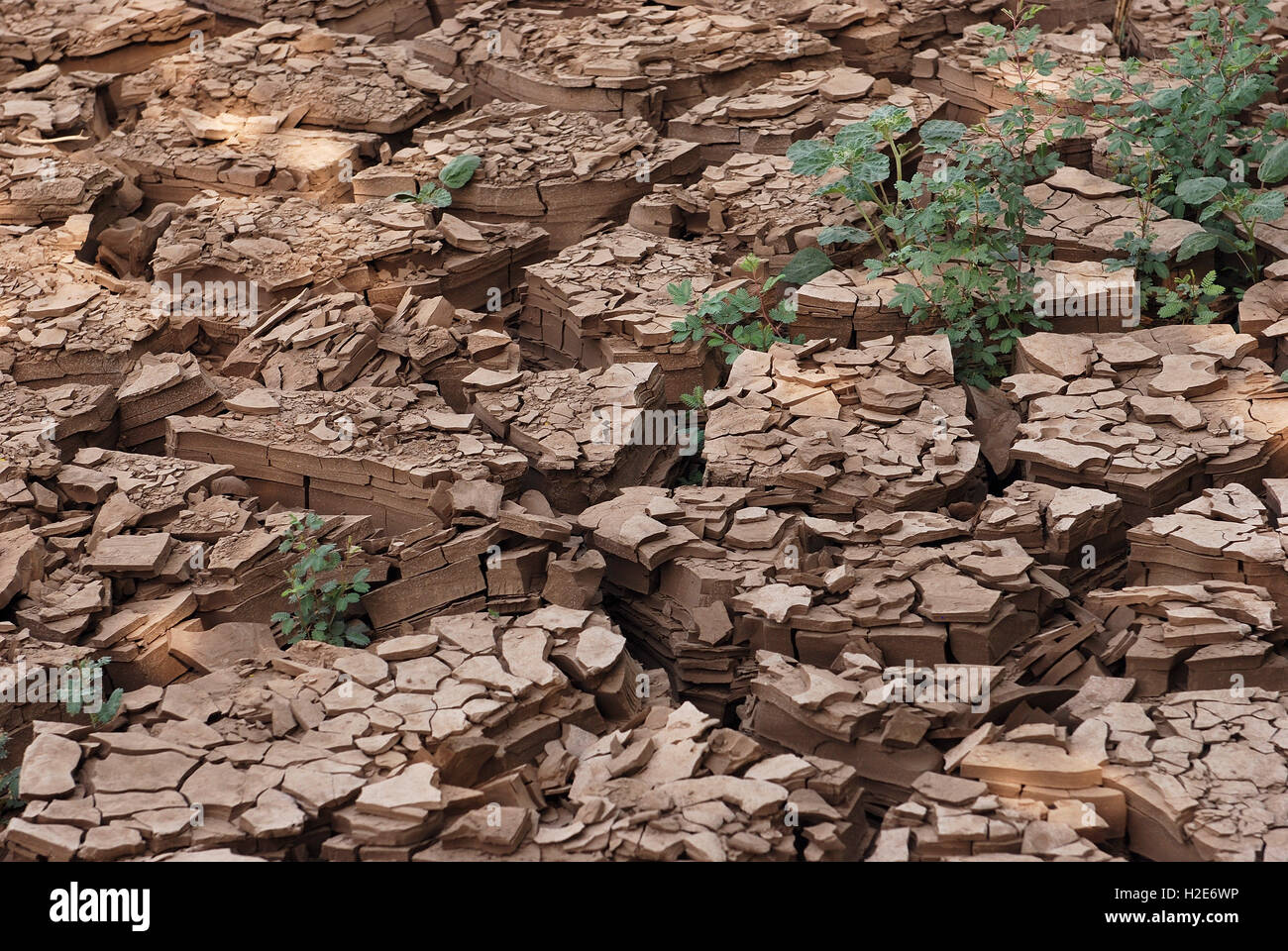 Fissures de la boue, de la boue séchée sur les rives du Nil, Delgo, Soudan Banque D'Images