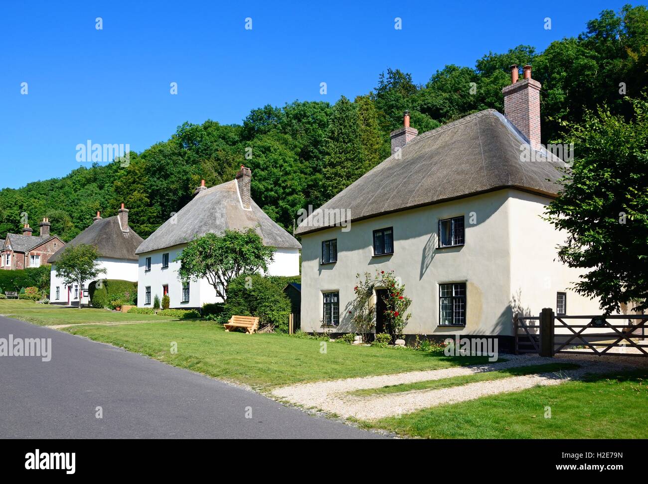 Vue sur le joli village de chaumières, rue Milton Abbas, Dorset, Angleterre, Royaume-Uni, Europe de l'Ouest. Banque D'Images