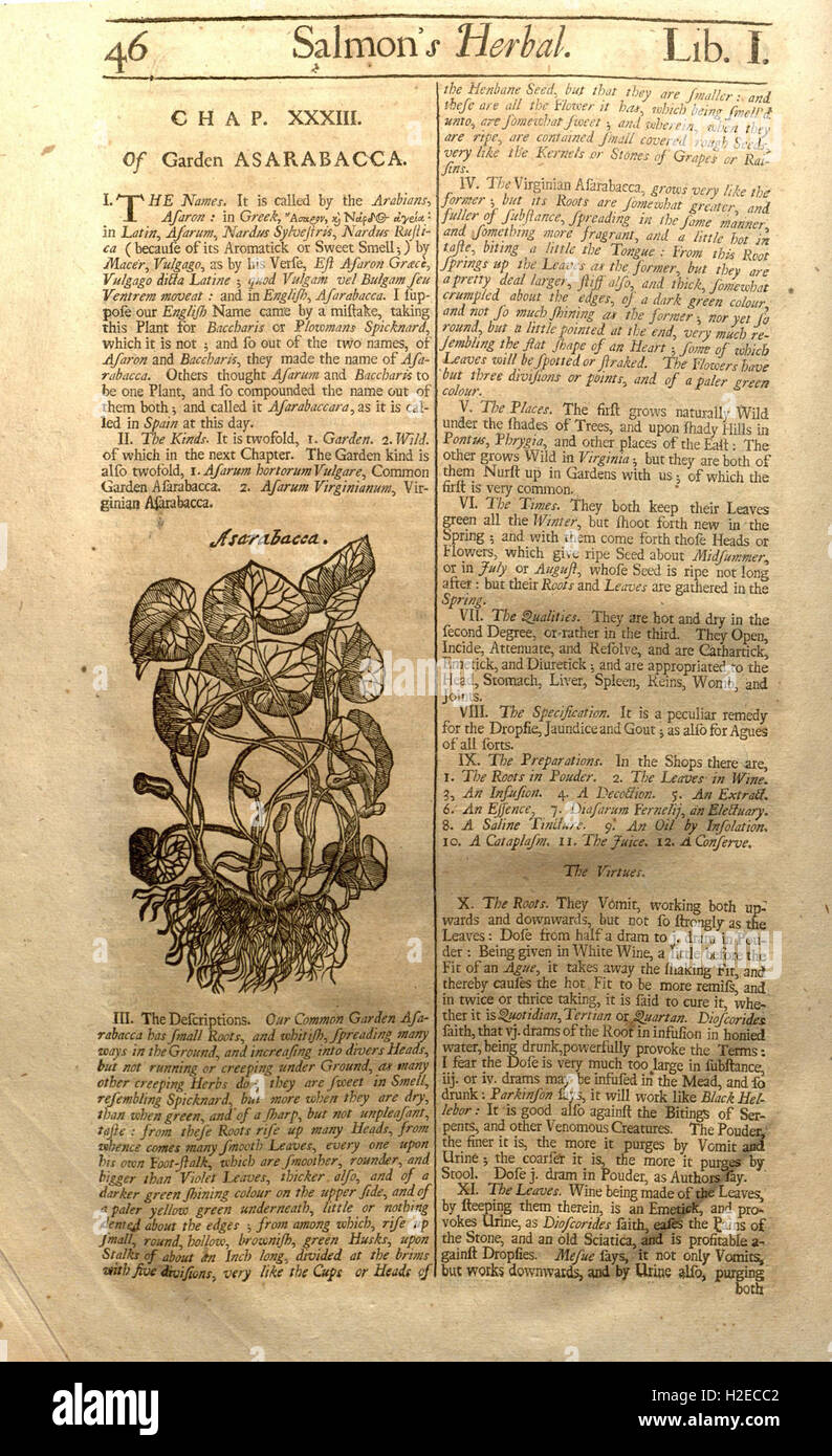 Cette plante offre un compte-rendu historique et des descriptions des plantes trouvées en Angleterre, y compris les utilisations médicinales, la culture et les propriétés botaniques. Banque D'Images