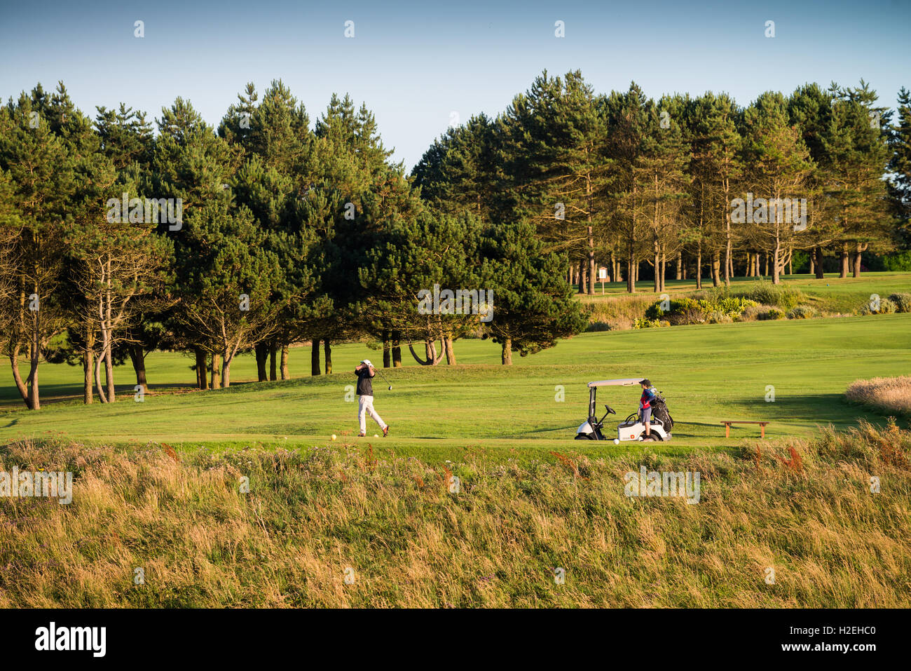 France, Seine Maritime, Pays de Caux, Cote d'Albatre (Côte d'Albâtre), Etretat, le golf sur le haut de la falaise Aval Banque D'Images