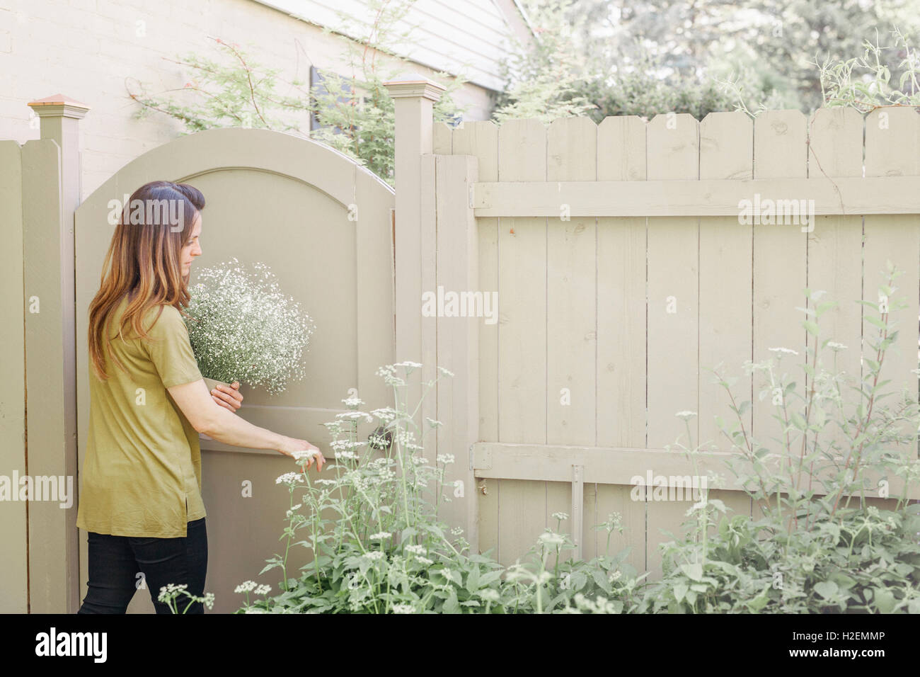 Qui entre dans un jardin par une porte, portant un bouquet de fleurs blanches. Banque D'Images