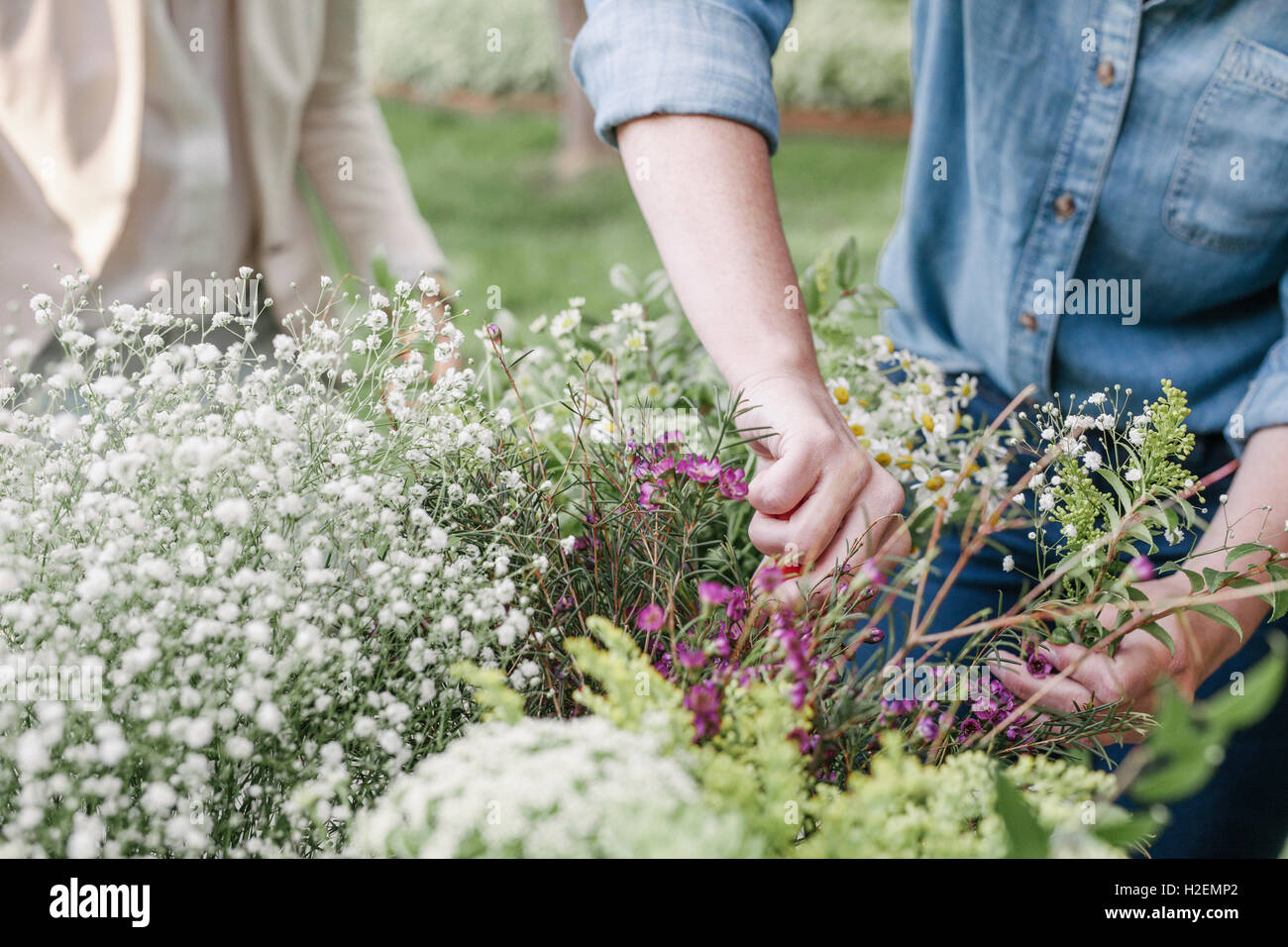 Portrait d'une femme, debout dans un jardin, faire une couronne de fleurs. Banque D'Images