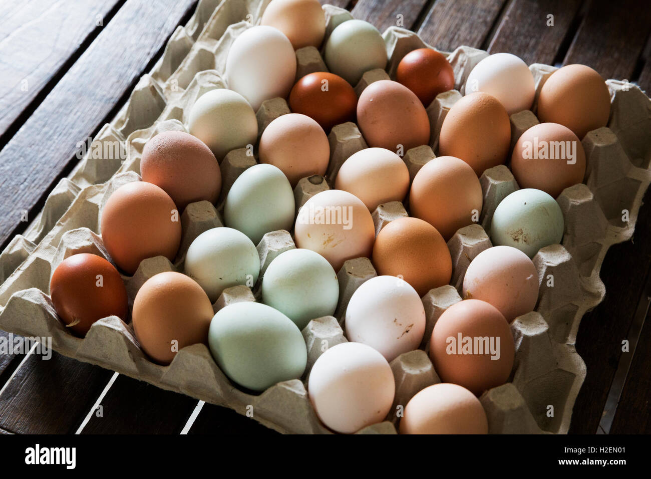Un bac d'œufs bio, dans une variété de couleurs. Banque D'Images