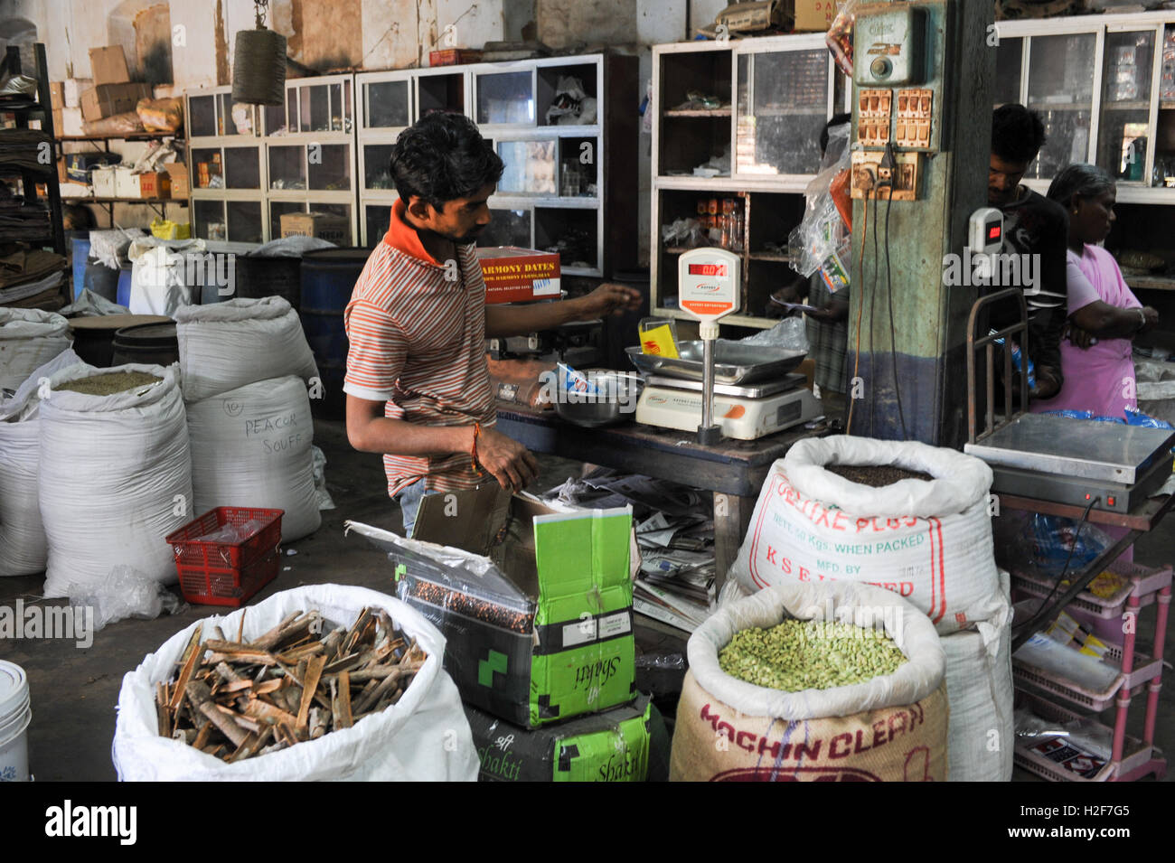 Fort Cochin, Inde - 16 janvier 2015 : le vendeur d'épices pesant sur son magasin à fort Cochin sur l'Inde Banque D'Images