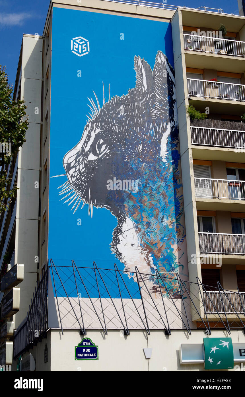 Paris France murale de 6 étages colossal cat's face Banque D'Images