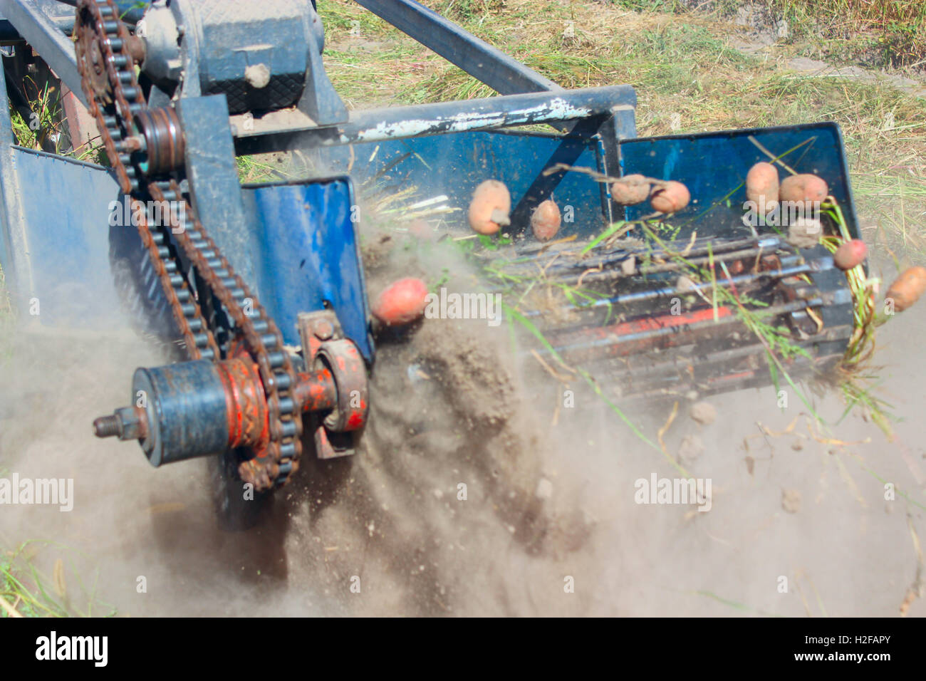 Équipement spécial digger sur un tracteur pour creuser les pommes de terre dans l'agriculture Banque D'Images