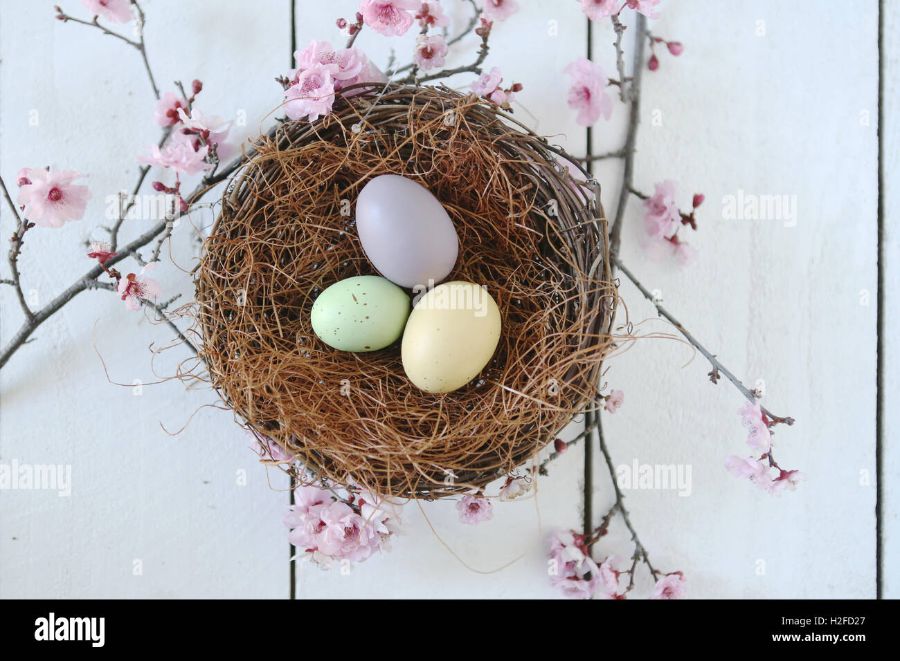 Sur le thème de Pâques La vie toujours en scène la lumière naturelle Banque D'Images