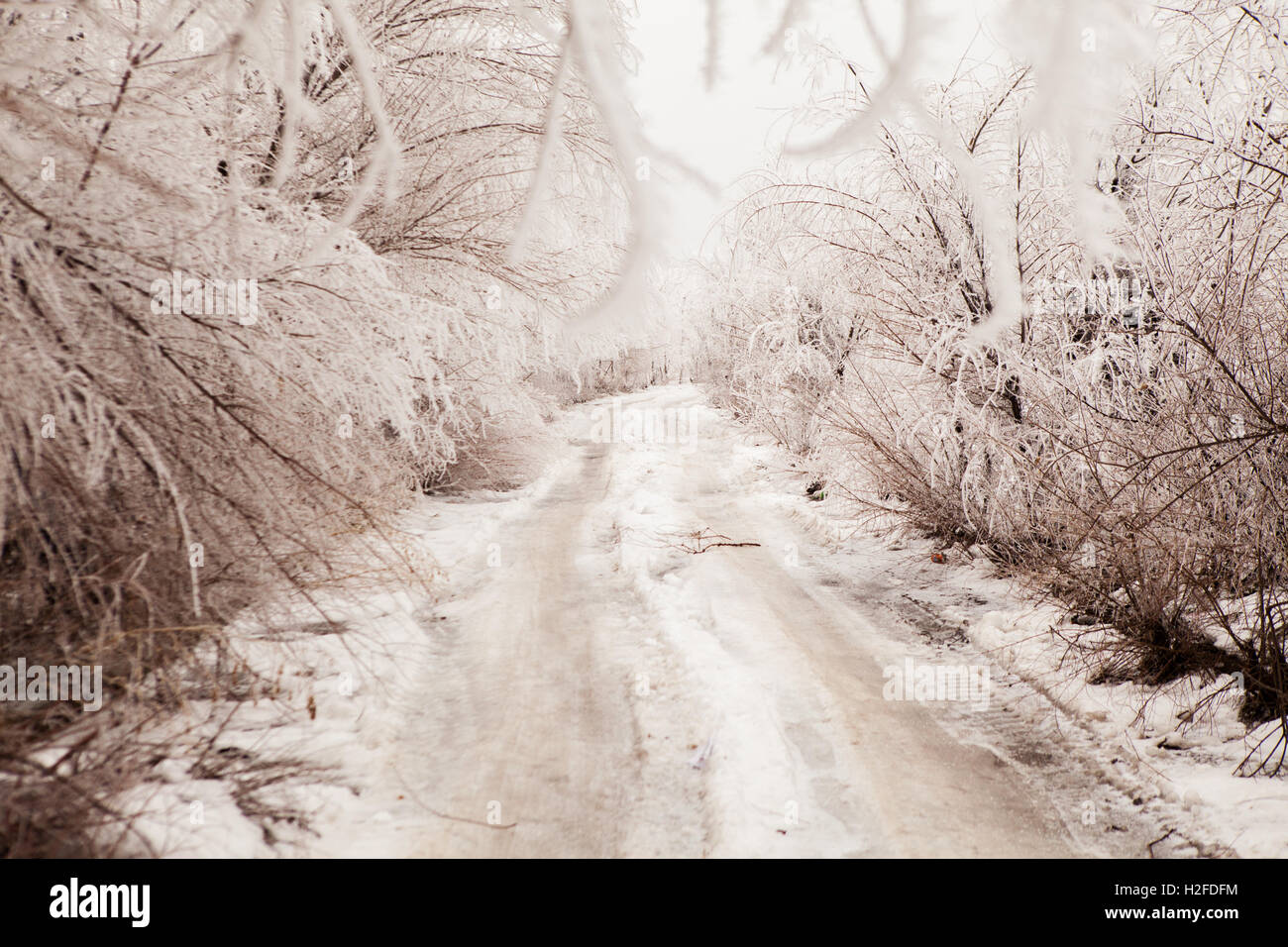 La route d'hiver dans les tons sépia Banque D'Images