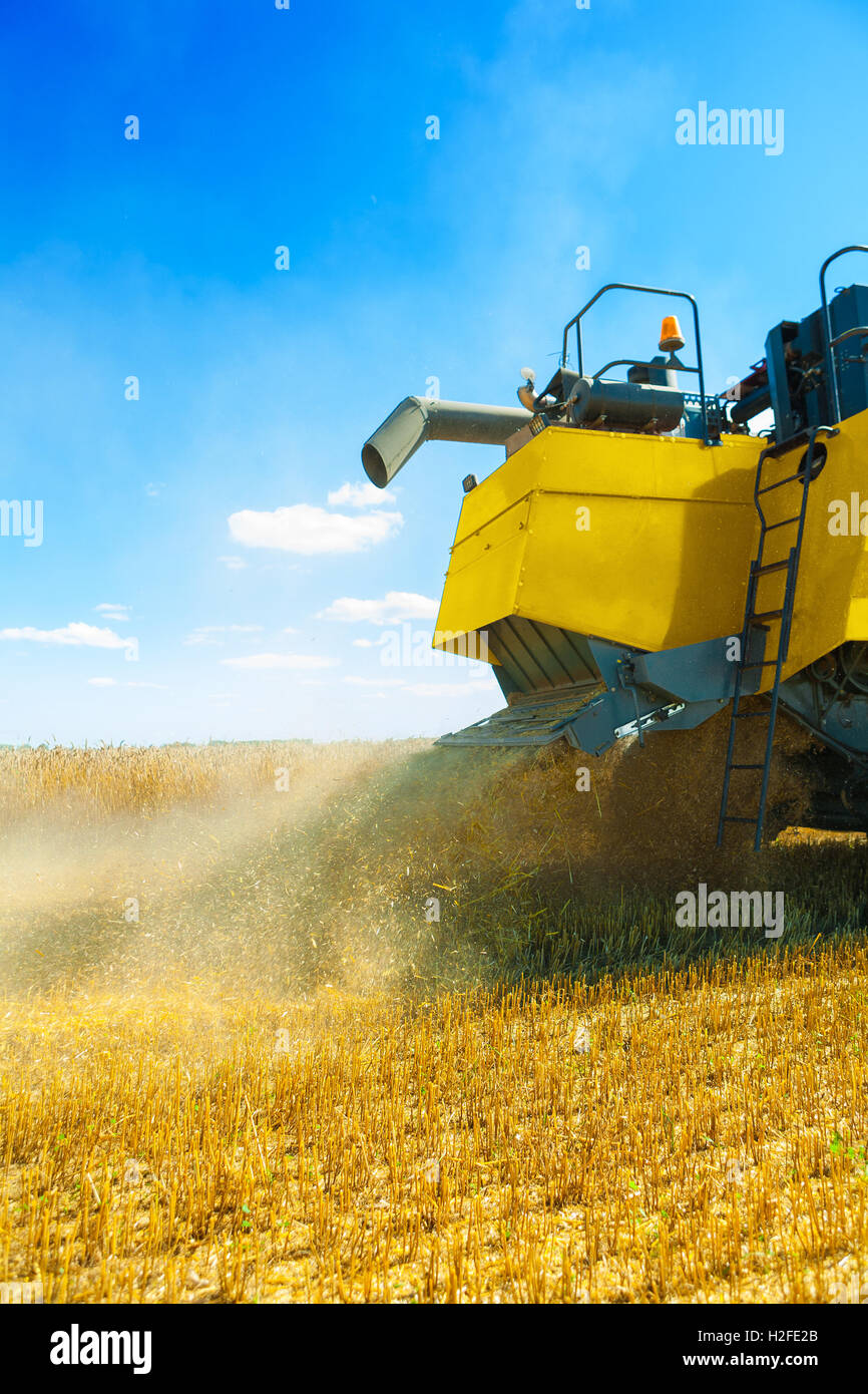 Vue sur le broyage du blé à récolter Banque D'Images