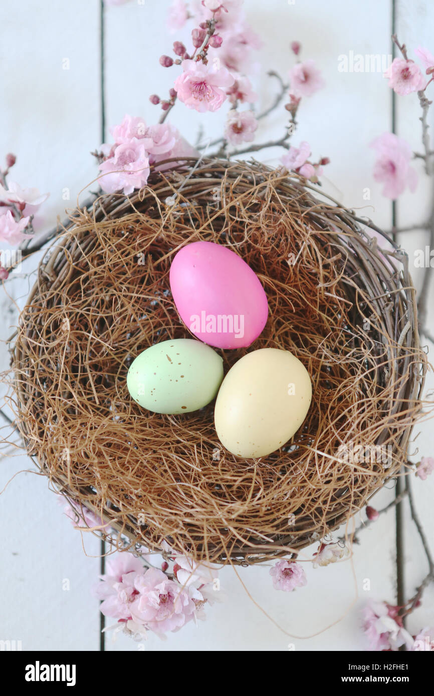 Sur le thème de Pâques La vie toujours en scène la lumière naturelle Banque D'Images