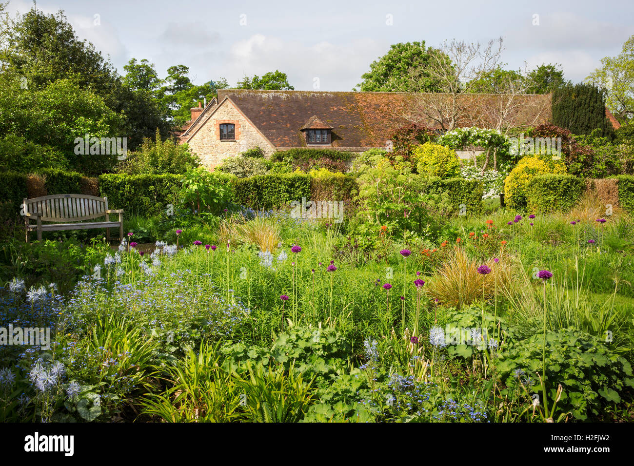 Les arbustes et les plantes à maturité dans une fleur frontière. Les arbres. Banque D'Images