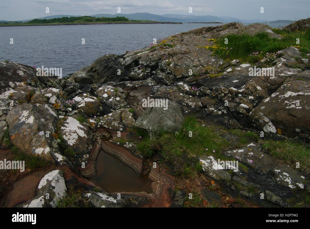 Estran rocheux au Point, Isle of Mull, Argyll and Bute, Ecosse Banque D'Images