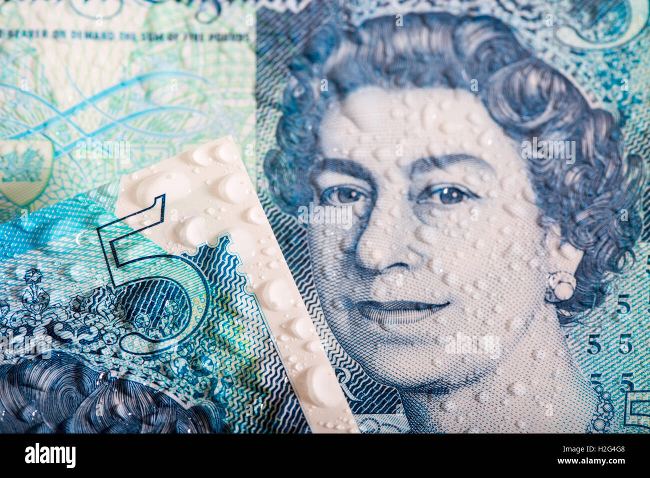 Une photo détaillée du nouveau polymère imperméable UK 5 Pound Note montrant sa résistance à l'eau Banque D'Images