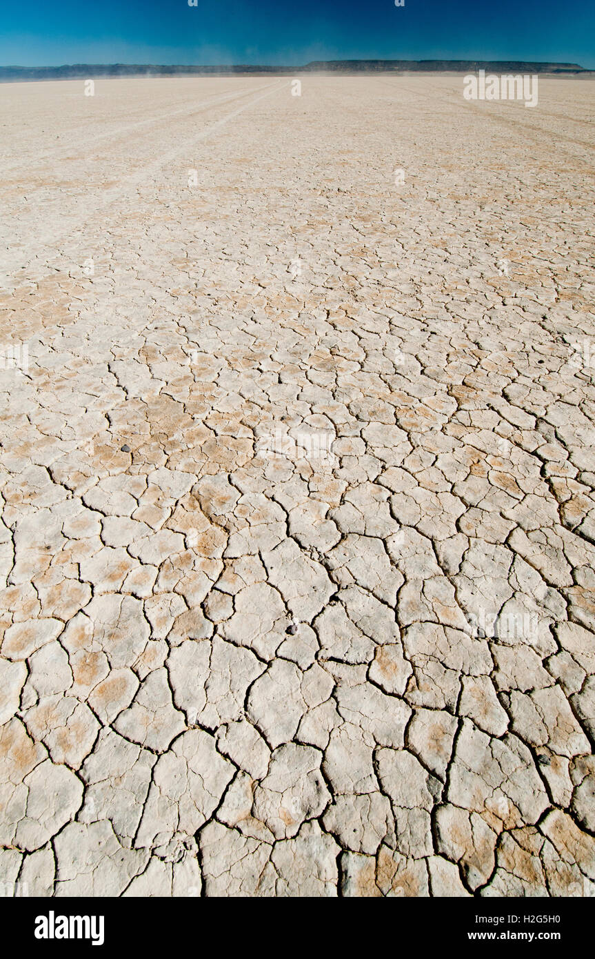 Fissures polygonales de boue formant un réseau interconnecté sur le lit d'Alvord Playa dans l'Alvord Desert dans l'Oregon SE Banque D'Images