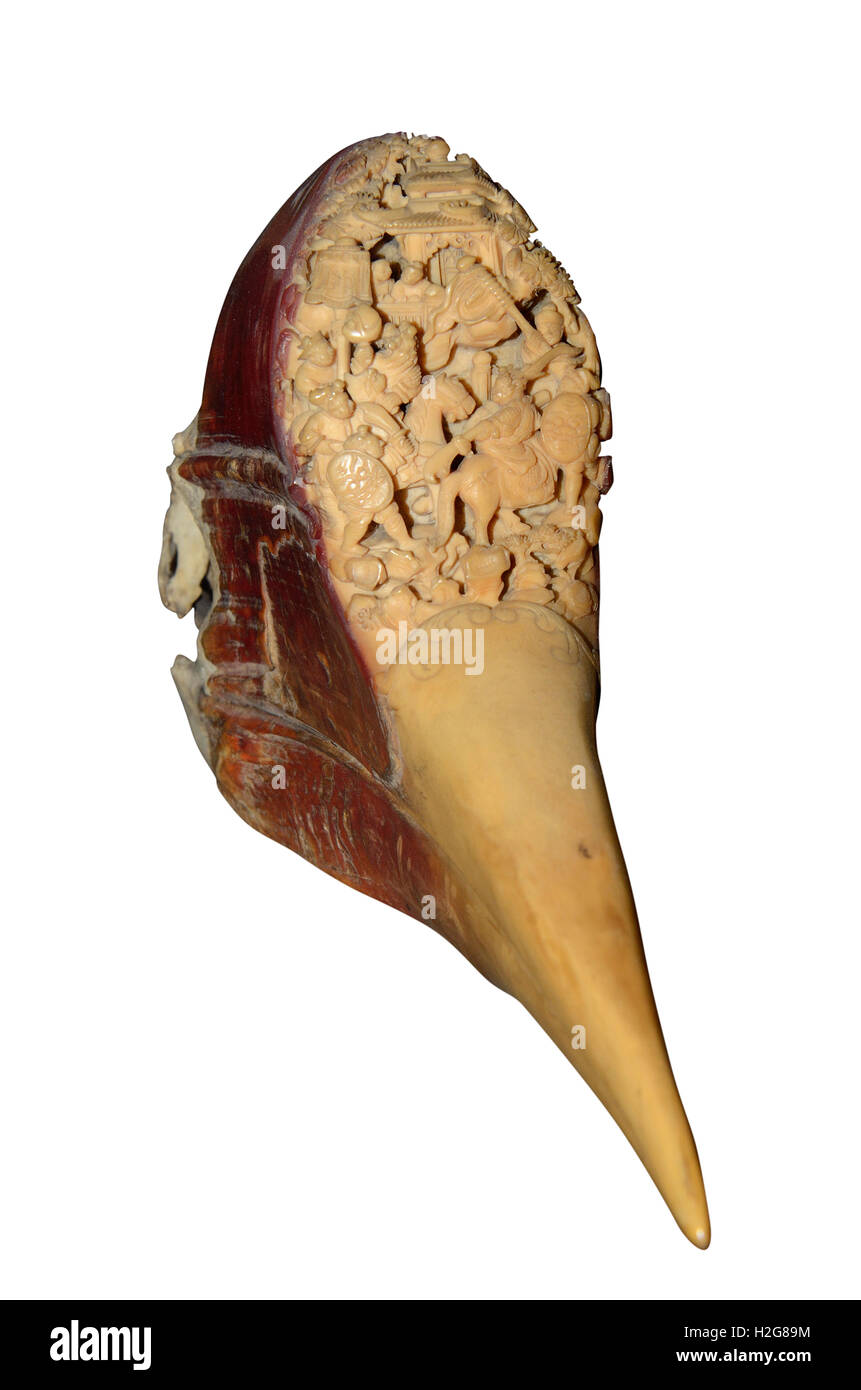 L'ivoire d'un calaos casqué sculpté loi Banque D'Images
