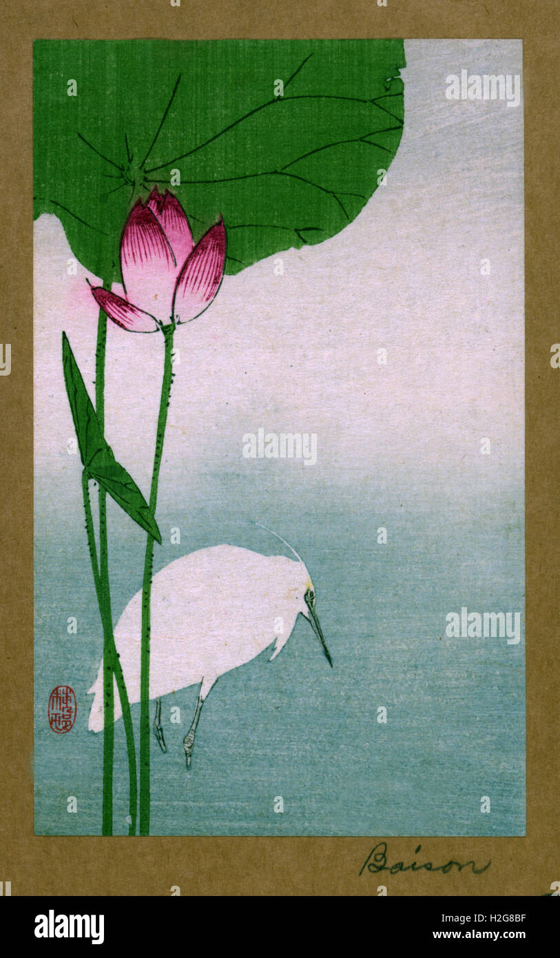 Hasu shirasagi ni traduit à héron blanc et lotus. Impression Gravure de l'artiste Baison, fl. Dates pour 1890 ish Banque D'Images