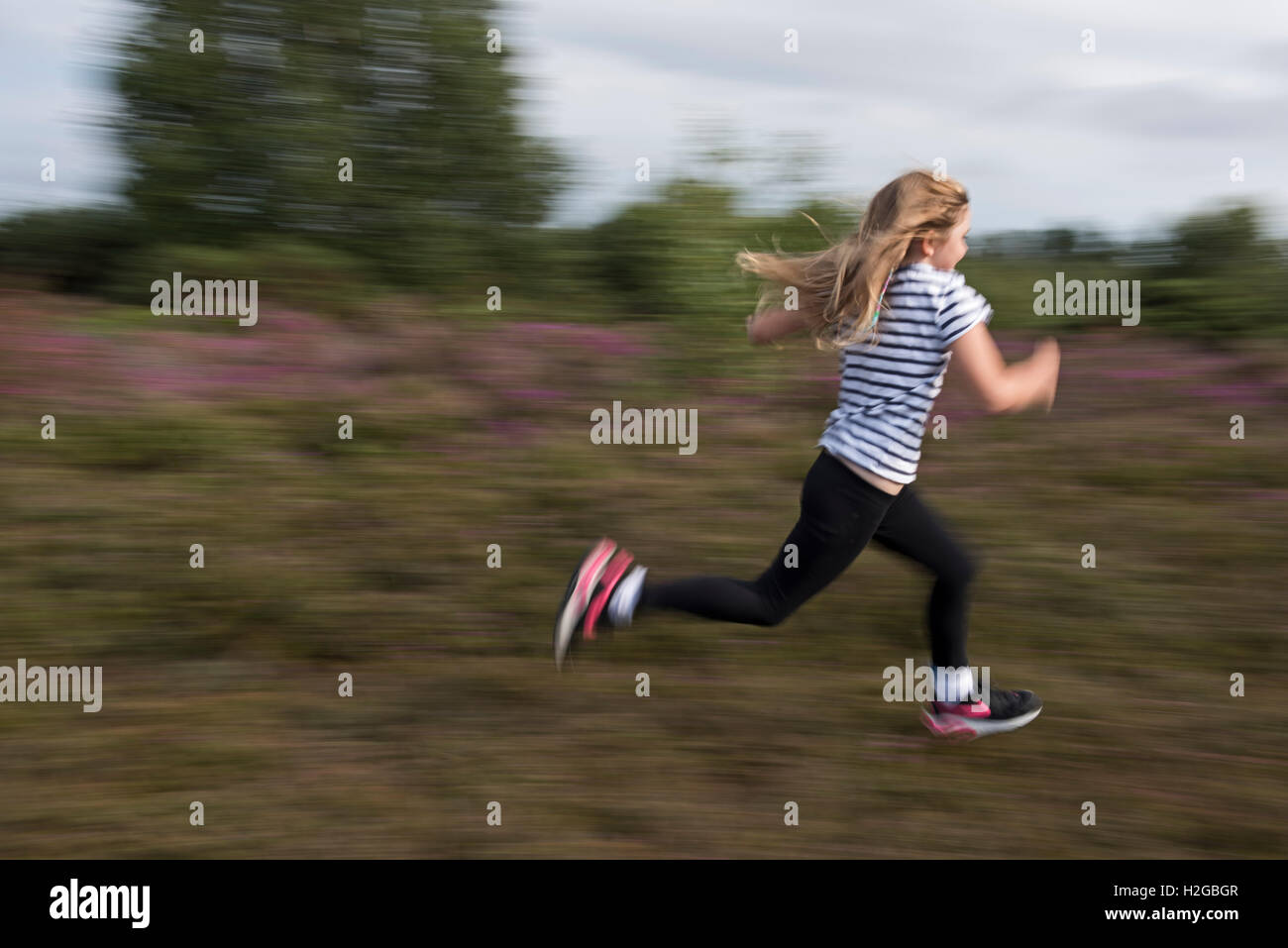 Jeune fille en travers de Heath, Kelling Heath Norfolk summer Banque D'Images