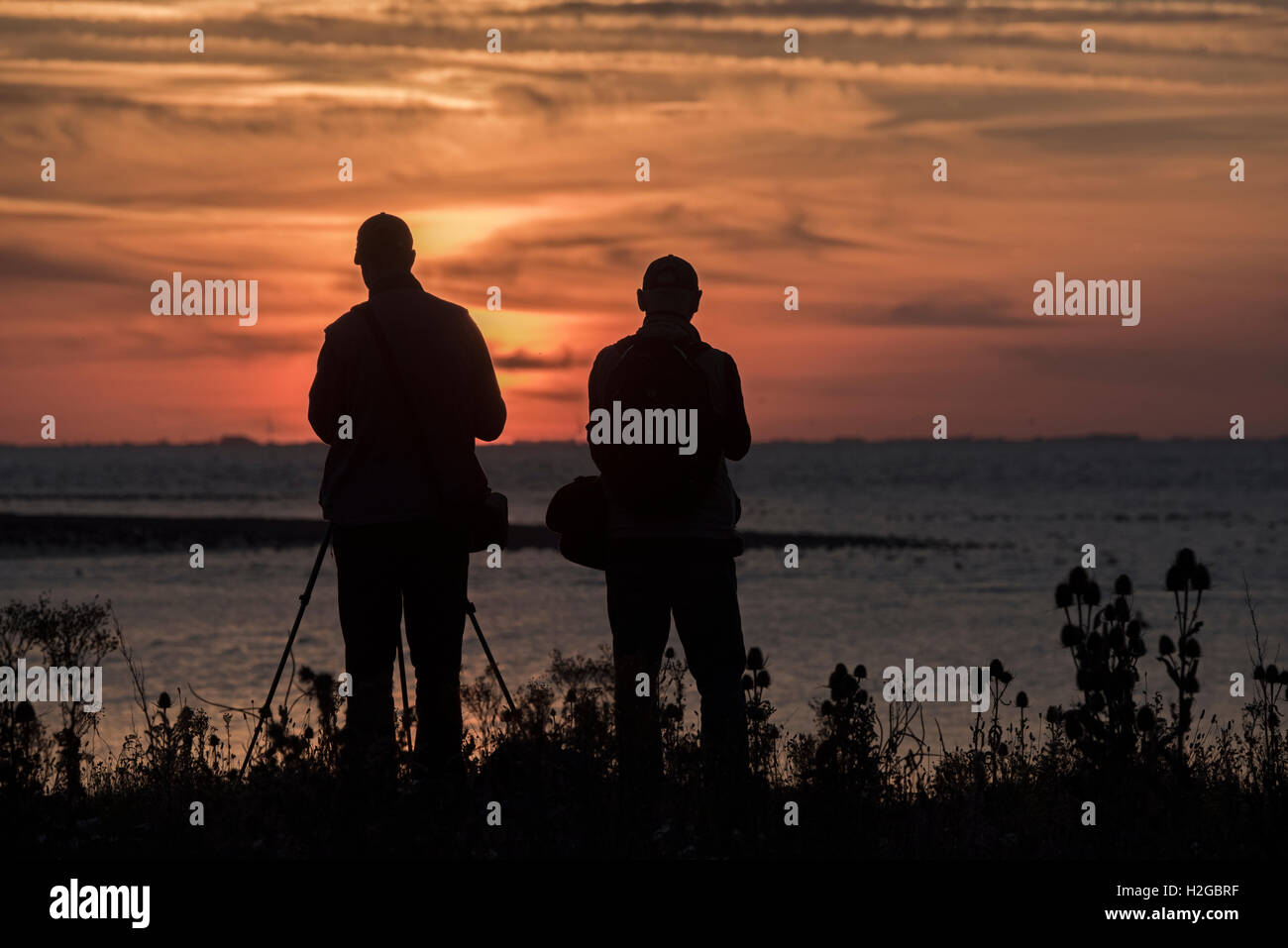 Deux observateurs d'oiseaux qui se profile au coucher du soleil en regardant les échassiers y compris au noeud et les huîtriers à marée montante de l'autre côté de la laver une Banque D'Images