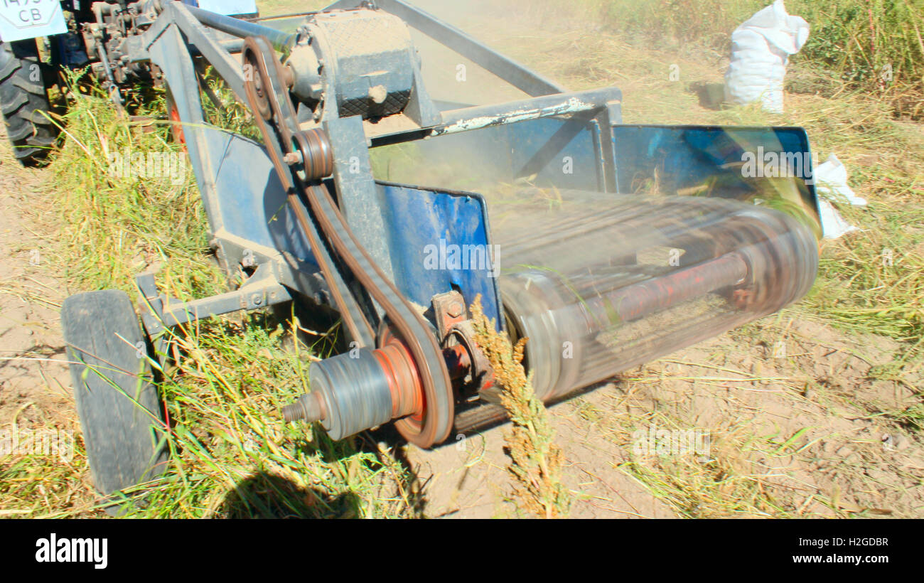 Équipement spécial digger sur un tracteur pour creuser les pommes de terre dans l'agriculture Banque D'Images